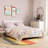 Keilianys Upholstered Low Profile Platform Bed-21119733-21119737