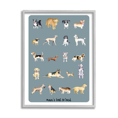 Man's Best Friend Dog Breeds by Andi Metz - Graphic Art on Wood