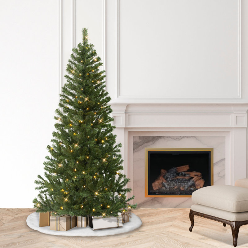 6' Pre-Lit Canadian Spruce Artificial Christmas Tree