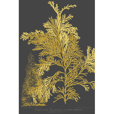 Trees and Leaves I by Vision Studio - Graphic Art