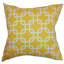 Coussin 100 % coton-1887681028-1949781347-1887681024