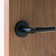 Alpine Lever 63 Full Dummy Set with Round Rose