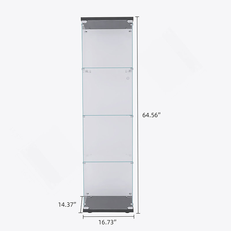Vitrine en verre avec 4 tablettes et porte, Noir / Transparent