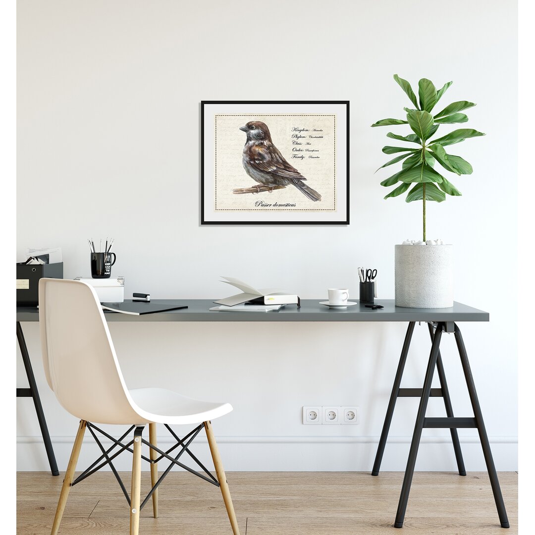 Gerahmtes Poster Bird, Grafikdruck