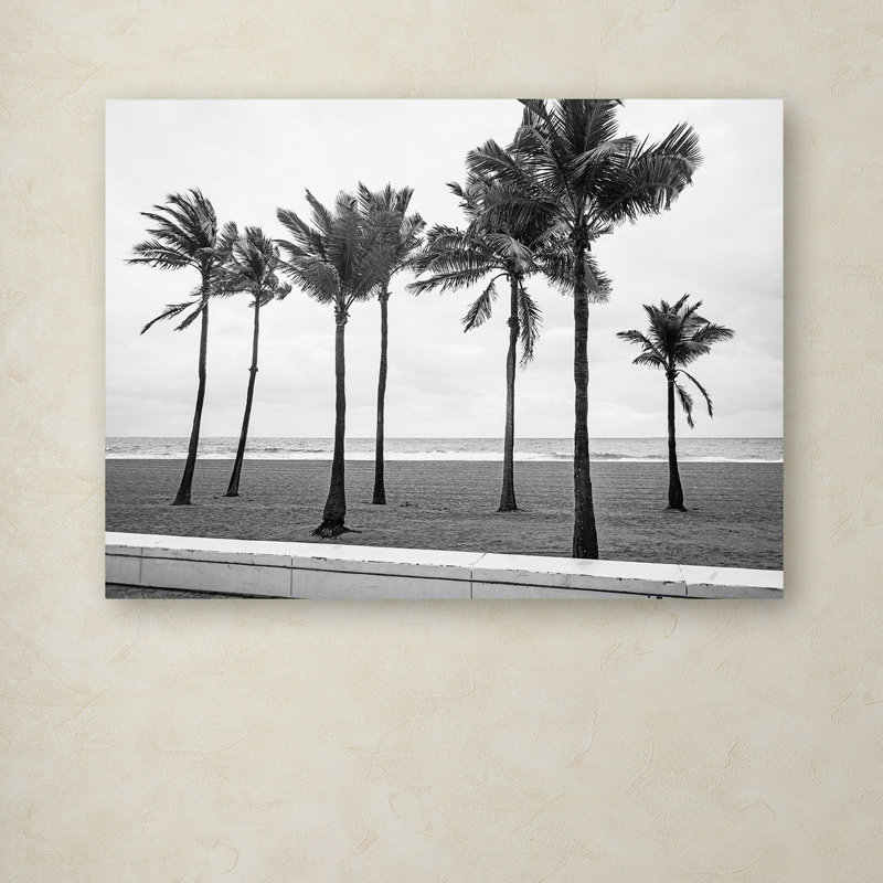 Art mural sur toile tendue - Preston «Florida BW Beach Palms», art mural pour salon, chambre à coucher ou bureau - 14 x 19