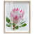Natural Oak Frame