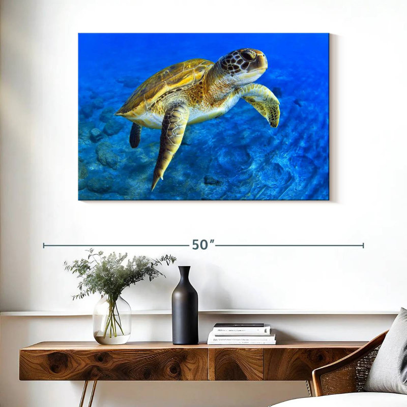 Brampt Sea Turtle Explorer, 26" H x 39" W