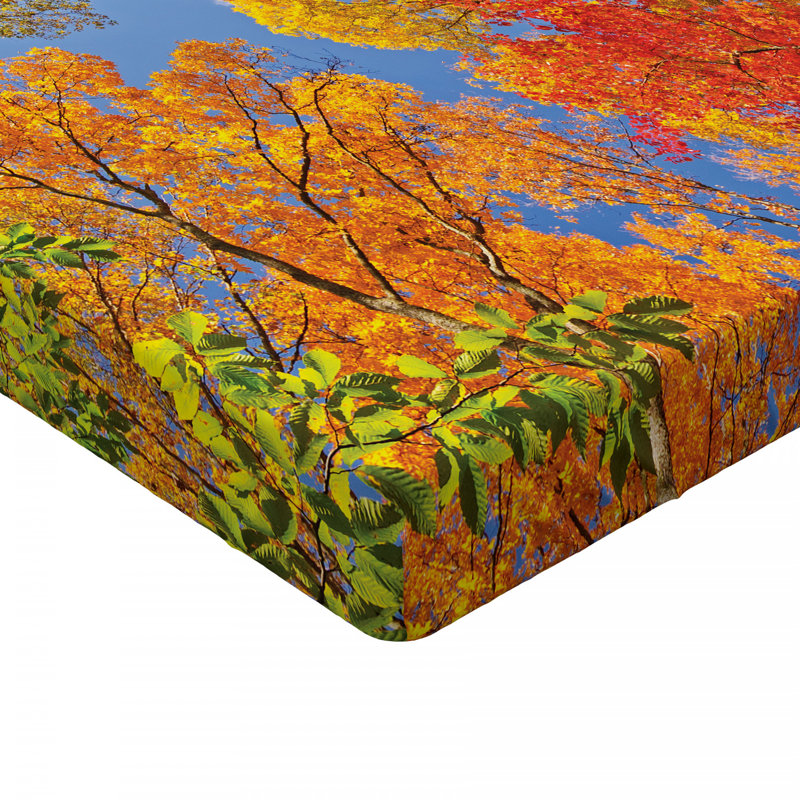 Microfiber Fitted Sheet, Twin Fitted Sheet