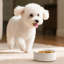 Hexagon Embossed Pattern Anti-skid Stoneware Dog Bowl-116384244