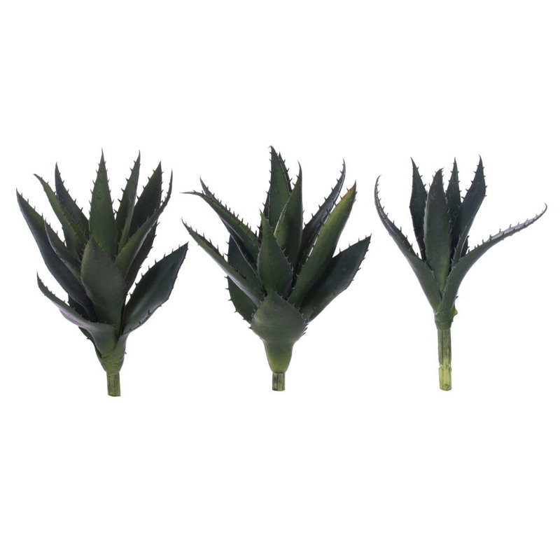 8 plantes