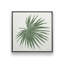 «Tropical Fan Palm» par Molly Mattin, reproduction d'art-1489573269-1489573271-1489573260