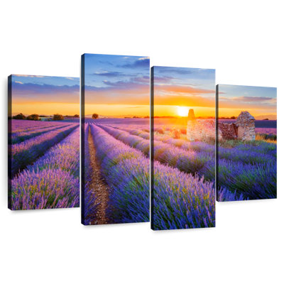 Champ de lavande mauve Alvord