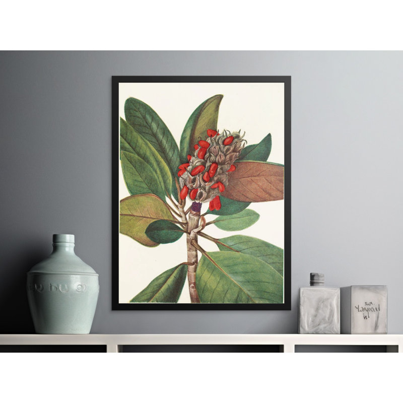Bellamira Floater Frame Print, 24x36