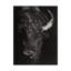 «Black Glimpse I» par Julie T. Chapman - reproduction d'art sur toile-531599671