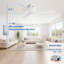 Nicola 52" 3 - Blade Ceiling Fan without Lights-91902317
