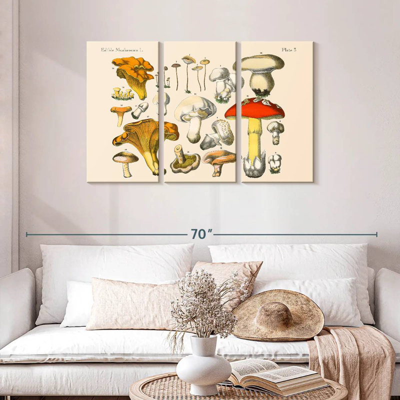 Yarlin Vintage Mushrooms, 28" H x 45" W