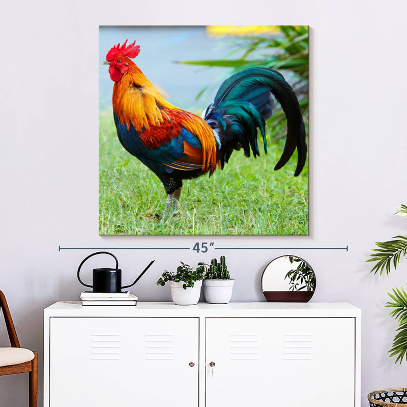 Crowle Rooster On Grass, 33" H x 33" W
