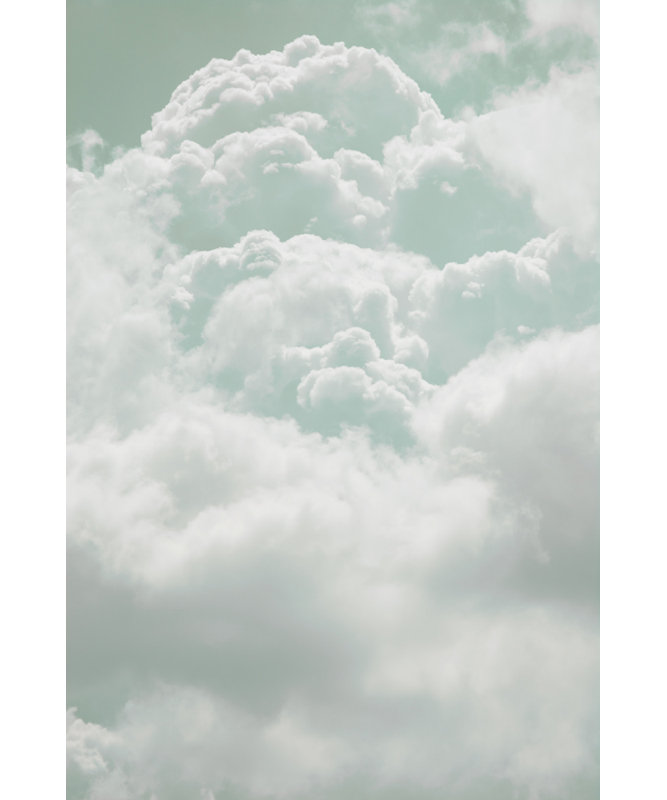 1 Piece Wrapped Canvas Wall Art