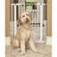 Barrière en acier pour animaux MidWest Homes-22329567-22329569