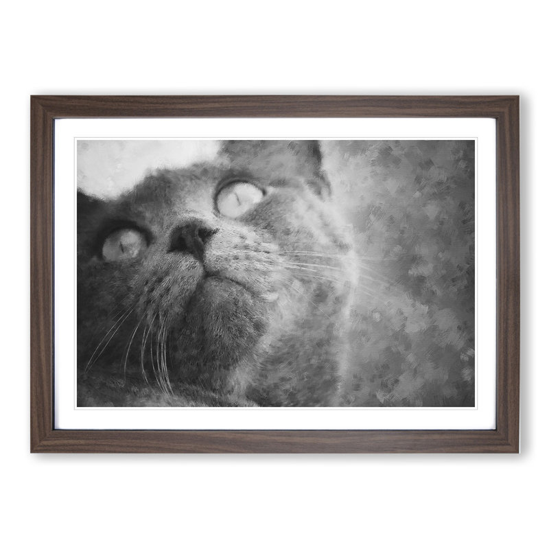 British Shorthair Cat Vol.3 - Picture Frame Painting, 27cm H x 36cm W x 2cm D, Walnut