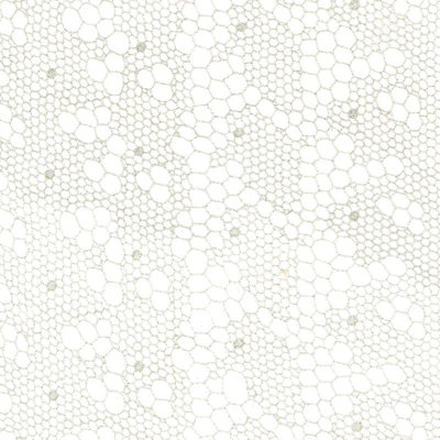 Tissu de microfibre dentelle Tracery