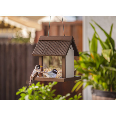 ECOFLEX Feathered Friends Beak Bistro Bird Feeder