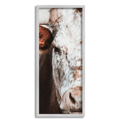 " Closeup Spotted Cow Cattle Detailed Farm Photography " by White Ladder