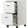 Adelmis 14.25'' Wide 2 -Drawer Mobile Steel File Cabinet