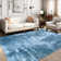 Fillender Modern Area Rugs Non-Slip Washable Abstract Soft For Living Room