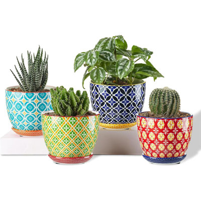 Petits pots à plantes 3,8 pouces avec trou de drainage et soucoupe