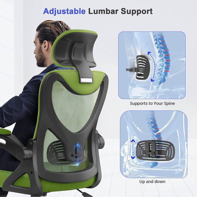 Ergonomic Office Chair, Computer Chair, Mesh Chair, Green