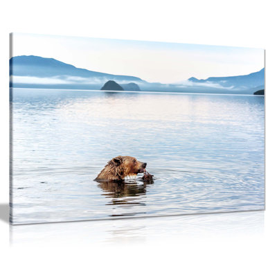 Hungry Bear In Kurile Lake - Wrapped Canvas Print