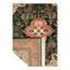 Oriental Area Rug in Green