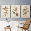 Oiseau de riz Wandering, reproduction d'art sur toile-1813864130-1813864143