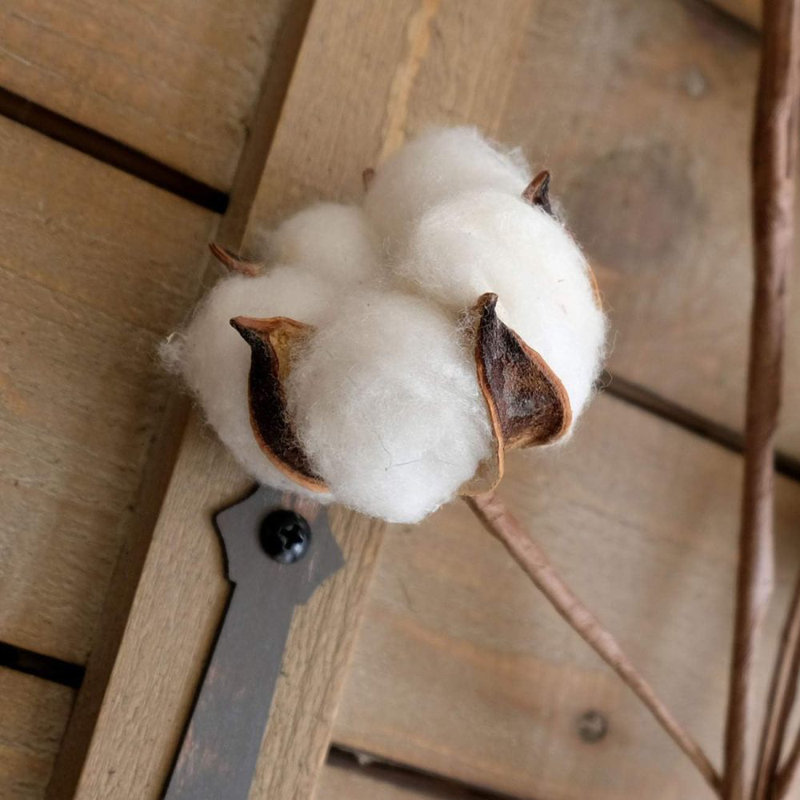 Cotton Arrangement