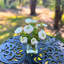 Ranunculus Flowers in Vase