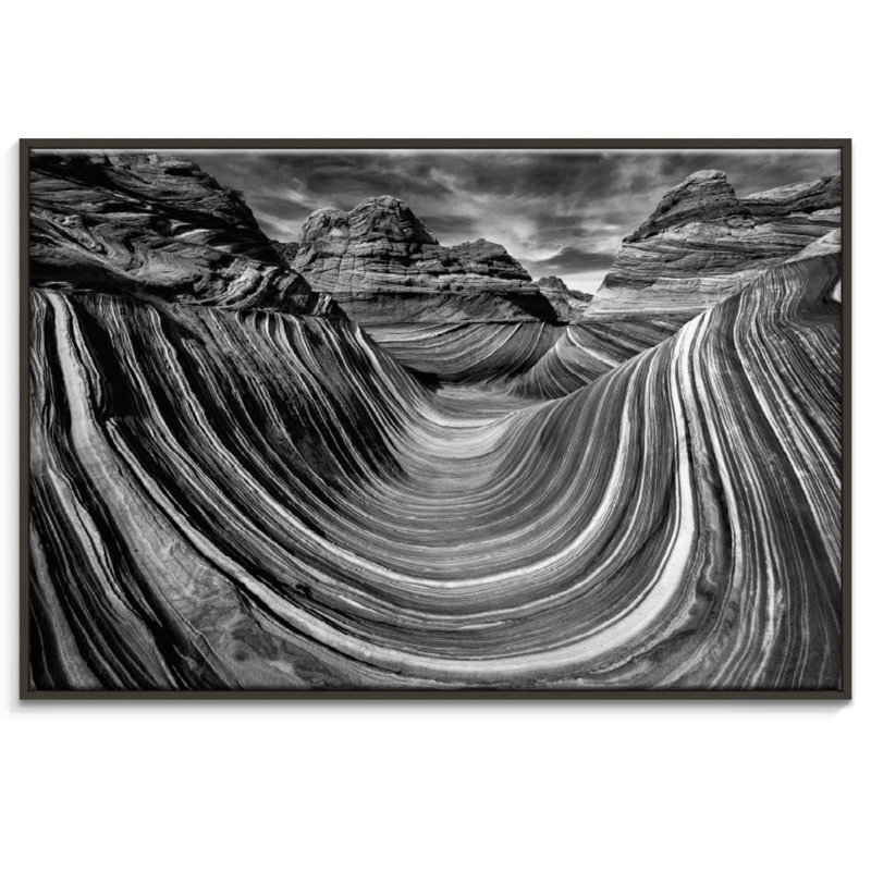 Print on Canvas, Black, 51cm H x 76cm W