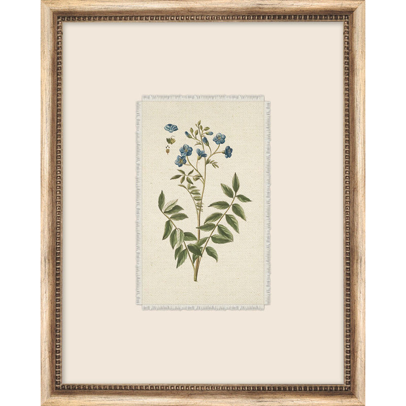 Petite Floral 4 Print