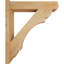 Sapin Douglas Douglas-31651507-31644775