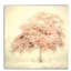 « bubble tree », peinture-35559387-35559392