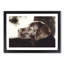 Chocolate Labrador Portrait - Picture Frame Graphic Art Print-56708575-56708576