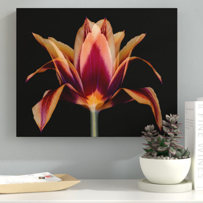 « red tulipe », reproduction d’impression sur toile tendue