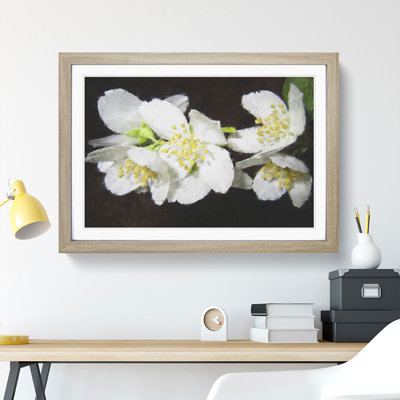 White Jasmine Flowers Painting - Framed Print