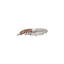 Le Creuset Waiter's Friend Corkscrew Wine Opener
