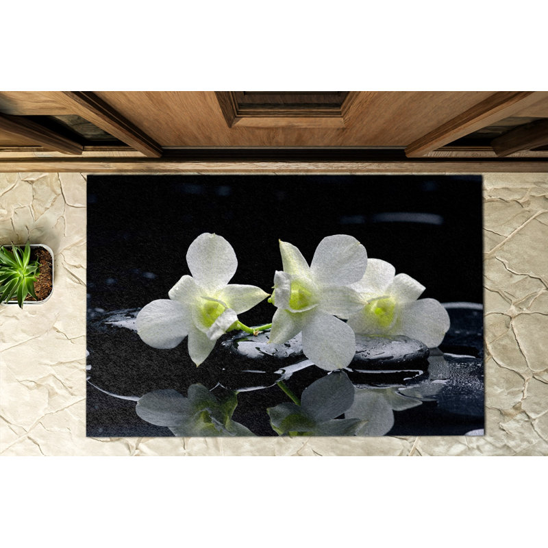 Non-Slip Outdoor Doormat
