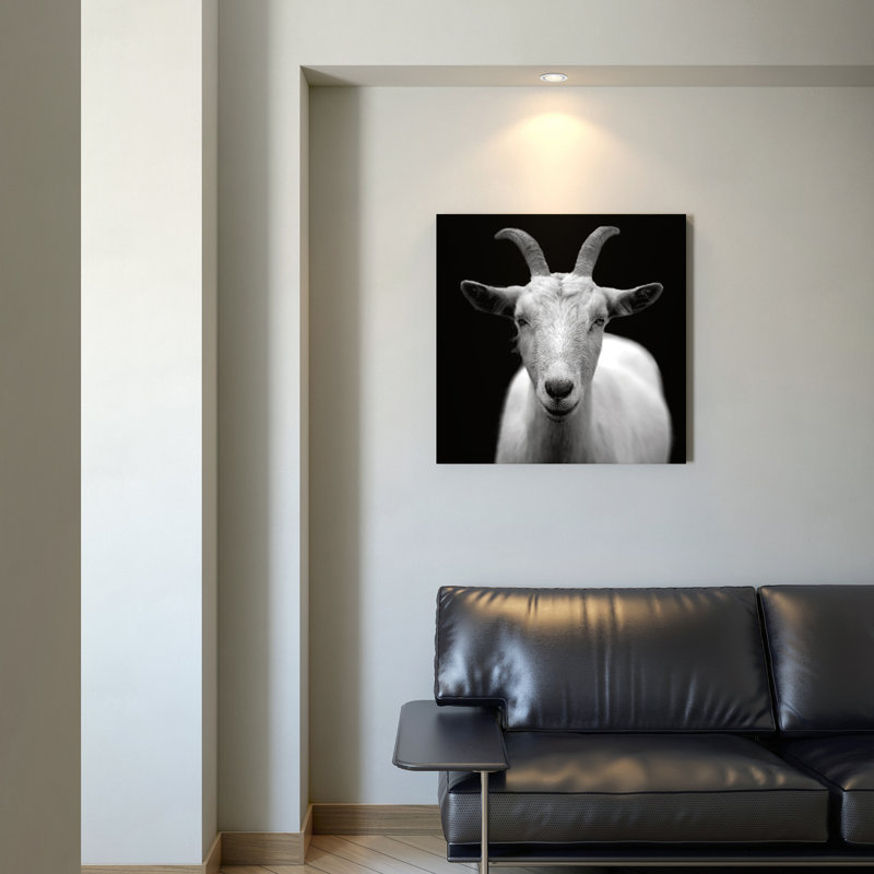 Billy moderne - photographie sur