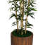 Arbre de bambou en pot 77 po Panama-1000703917