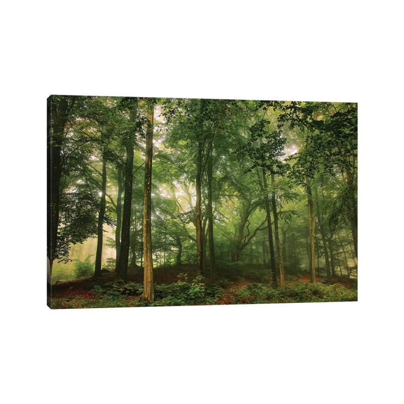 Welcome in the Forest 1 Piece Wrapped Canvas Wall Art, 20.32 cm H x 30.48 cm W