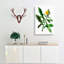 Yellow Sow Thistle by Pierre-Joseph Redoute - Wrapped Canvas-55320053