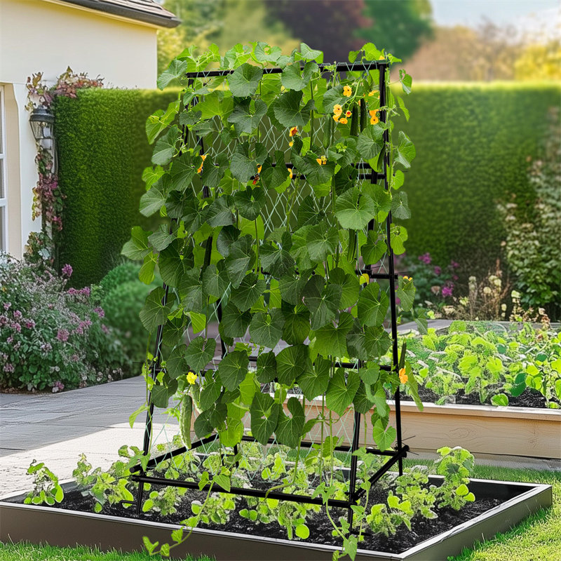 A-Frame Garden Trellis Iron Climbing Plants Green Bean Grow Support Support avec filet en nylon
